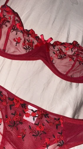 Alluring Black Lingerie with Red Floral Embroidery photo review